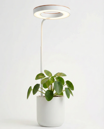 Vekstlampen - Designet for ditt hjem. Bygget for plantene dine